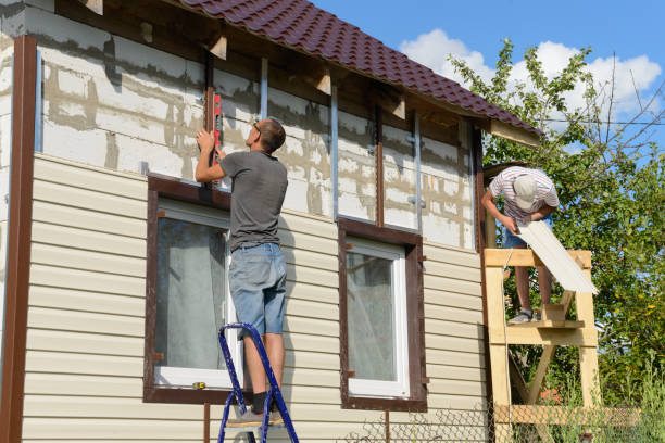 Best Steel Siding Installation  in Enon, OH