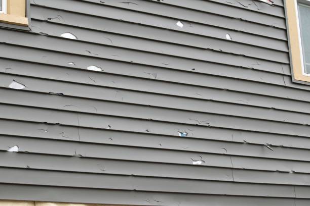 Best Custom Trim and Detailing for Siding  in Enon, OH